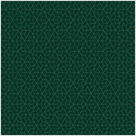 Упаковочная бумага глянцевая MESHU "Dark green" 1л. 70 x 100 см 90 г/м2 RE-М100_41102