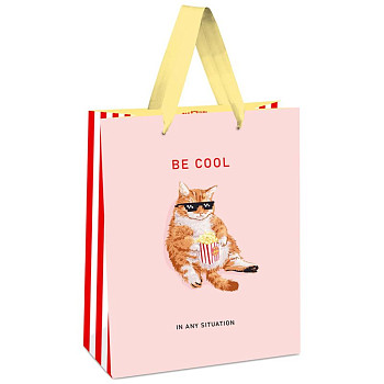 Пакет подарочный 11*14*6,5см MESHU "Be cool", выб. лак, матовая ламинация RE-MS_45682