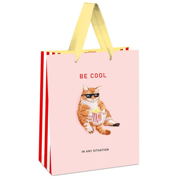 Пакет подарочный 11*14*6,5см MESHU "Be cool", выб. лак, матовая ламинация RE-MS_45682